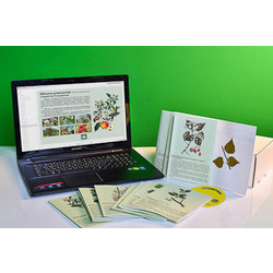 Гербарий натурально-интерактивный 