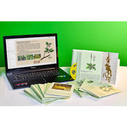 Гербарий натурально-интерактивный 