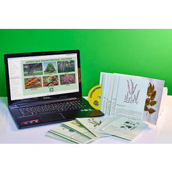 Гербарий натурально-интерактивный 