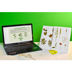 Гербарий натурально-интерактивный 