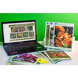 Гербарий натурально-интерактивный 