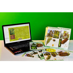 Коллекция натурально-интерактивная 