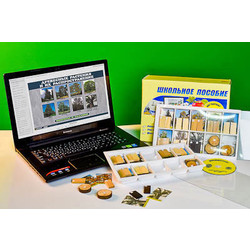 Коллекция натурально-интерактивная 