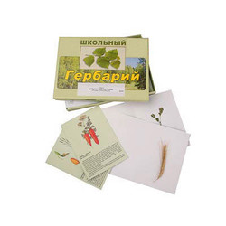 Гербарий 