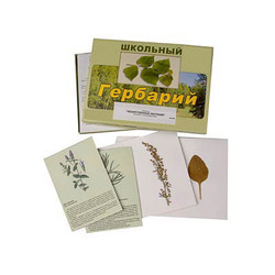 Гербарий 