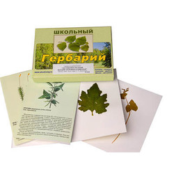 Гербарий 