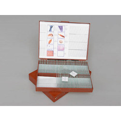 Комплект микропрепаратов 