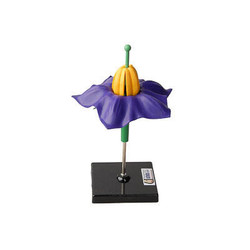 Модель цветка картофеля