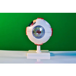 Модель глаза