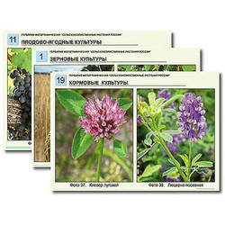 Гербарий фотографический 