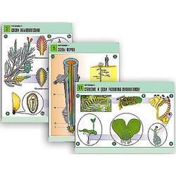 Комплект таблиц по биологии дем. 