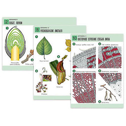 Комплект таблиц по биологии дем. 