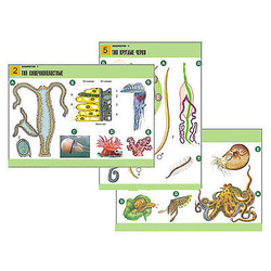 Комплект таблиц по биологии дем. 
