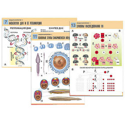 Комплект таблиц по биологии дем. 