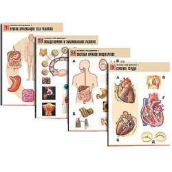 Комплект таблиц по биологии дем. 
