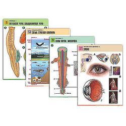 Комплект таблиц по всему курсу биологии (120 шт., А1, полноцв, лам)