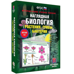 Интерактивное учебное пособие 