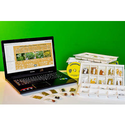 Коллекция натурально-интерактивная 