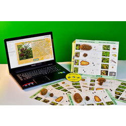 Коллекция натурально-интерактивная 