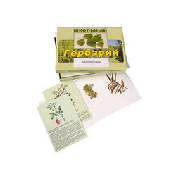 Гербарий 