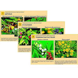 Гербарий фотографический 