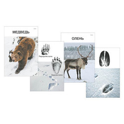 Комплект дидактических карточек 