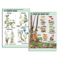 Комплект таблиц для нач. шк. 