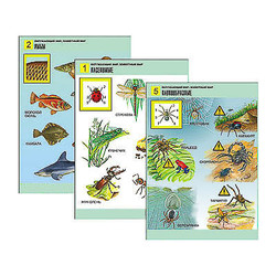 Комплект таблиц для нач. шк. 