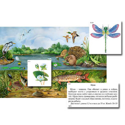 Магнитный плакат-аппликация 