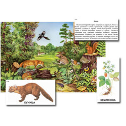 Магнитный плакат-аппликация 