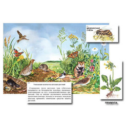 Магнитный плакат-аппликация 