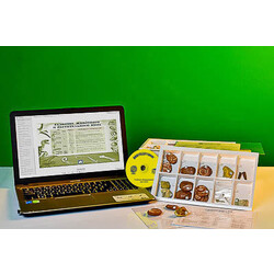 Коллекция натурально-интерактивная 