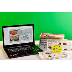 Коллекция натурально-интерактивная 