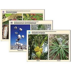 Гербарий фотографический 