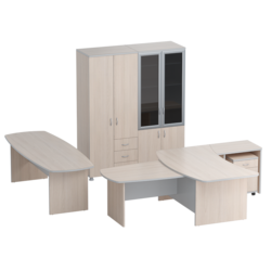 Кабинет руководителя 2