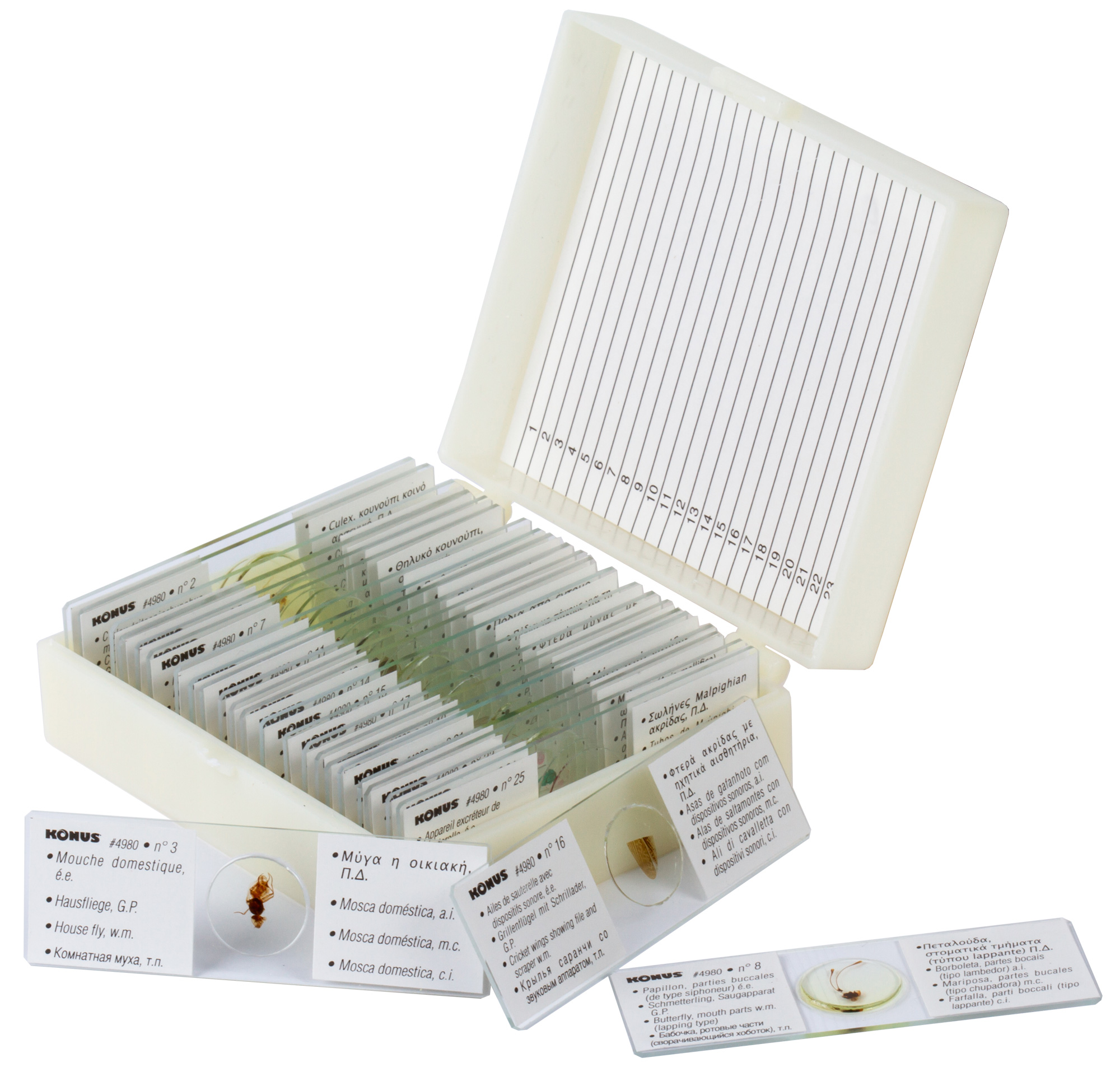 Микропрепараты