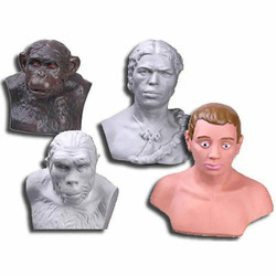 Человек и его здоровье