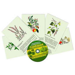 Наглядно-интерактивные пособия