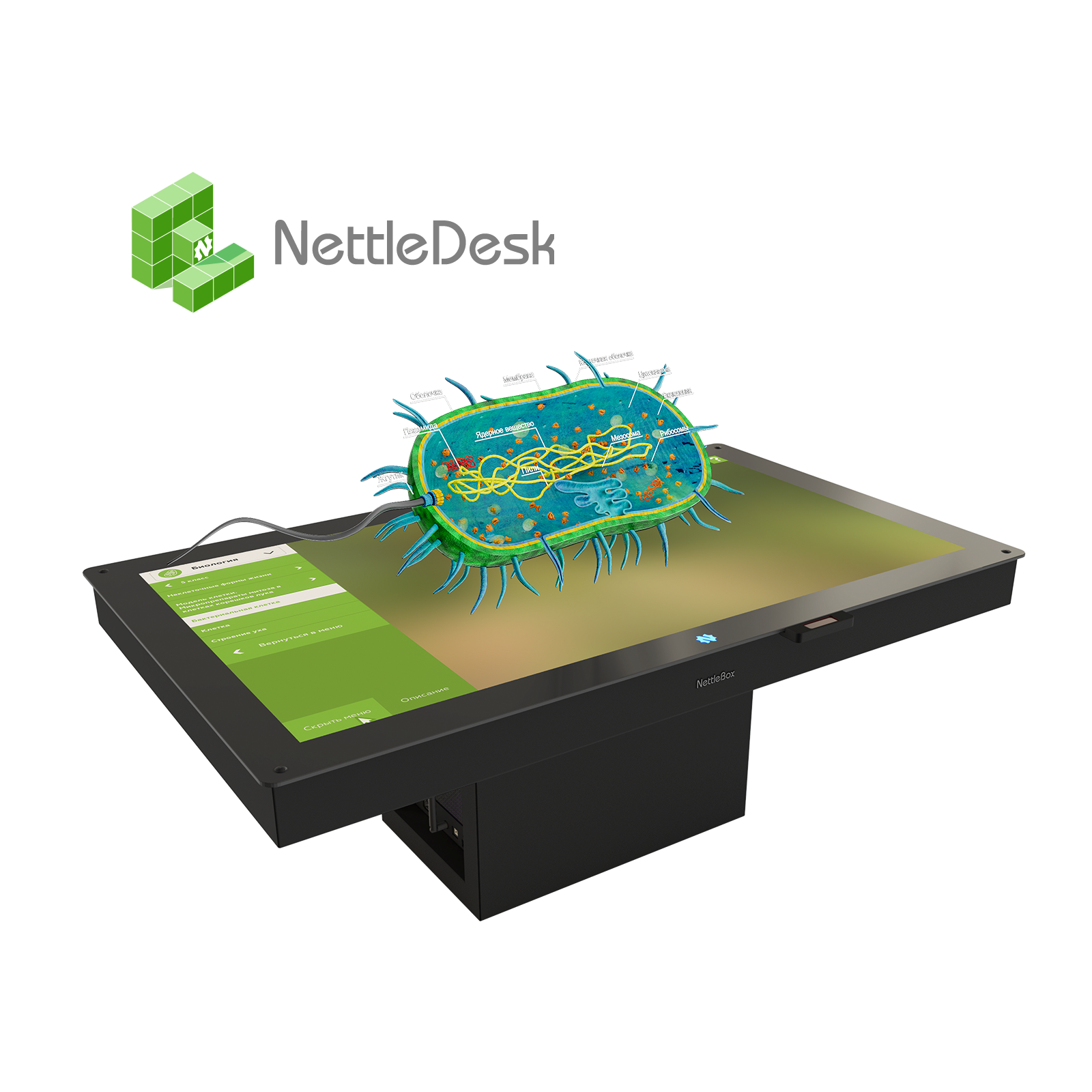 <font color="red">Новинка!</font> Голографическое оборудование NETTLE