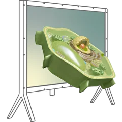 Комплект голографических макетов по 7 дисциплинам + NettleViewer